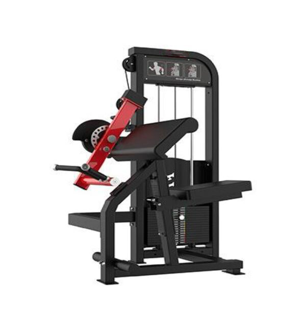 Bicep & Triceps Machine
