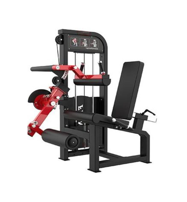 Leg Extension & Leg Curl Machine