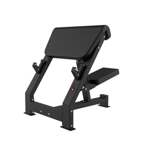 Preacher Curl Bench